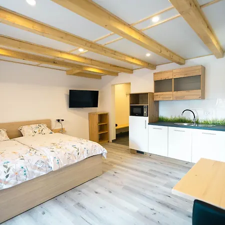 דירה Apartma Pr' Bavnc