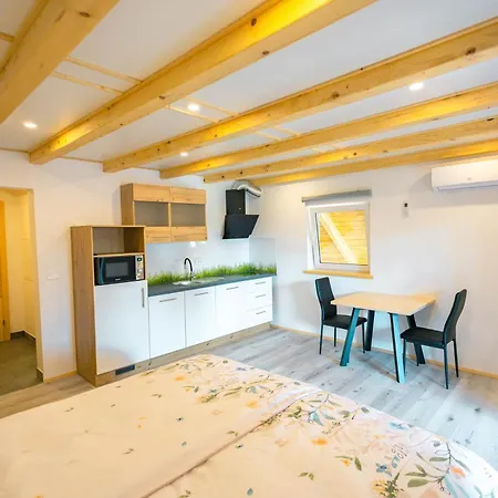 Apartma Pr' Bavnc