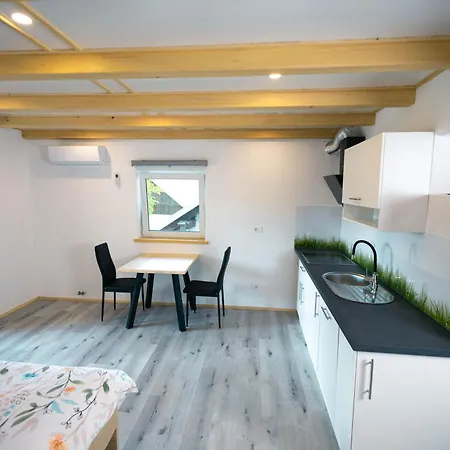 Apartma Pr' Bavnc דירה