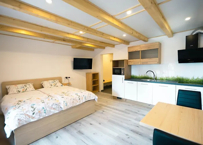 Διαμέρισμα Apartma Pr' Bavnc